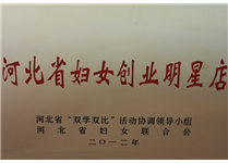 河北省婦女創(chuàng)業(yè)明星店