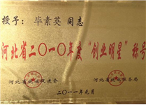 畢素英授予2010年度“創(chuàng)業(yè)明星”稱號